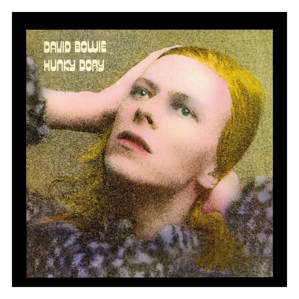 David Bowie Rock Saws Pussel Hunky Dory (500 bitar)