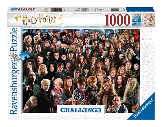 Harry Potter Challenge Pussel Cast (1000 bitar)