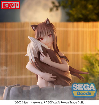 Spice and Wolf