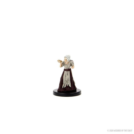 D&D Icons of the Realms: Curse of Strahd pre-painted Miniatures Covens & Covenants Premium Box Set