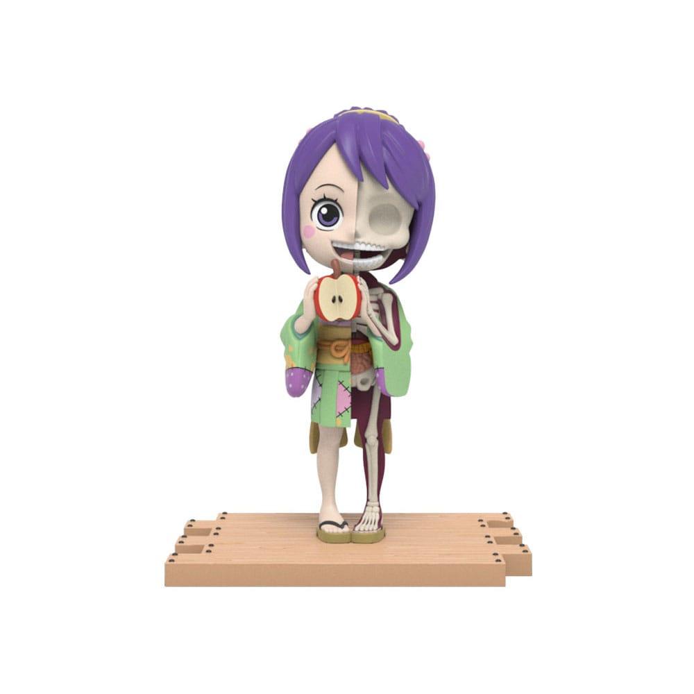 One Piece Blind Box Hidden Dissectibles Series 5 (Ladies ed.) Display (6)